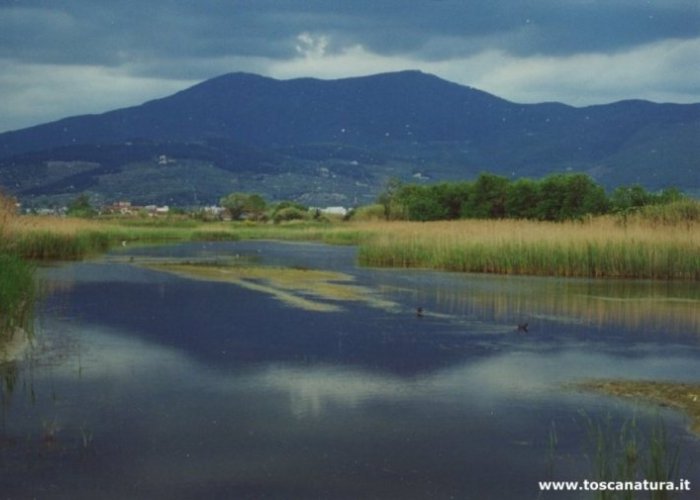 Veduta di uno degli stagni con Monte Morello sullo sfondo