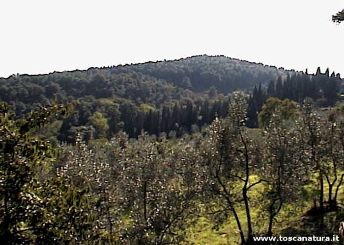 Veduta dell'ANPIL di Montececeri