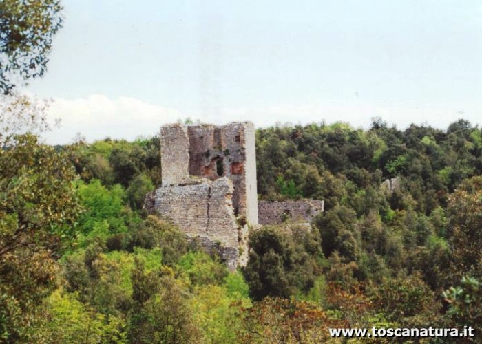 La Torre di Castelvecchio