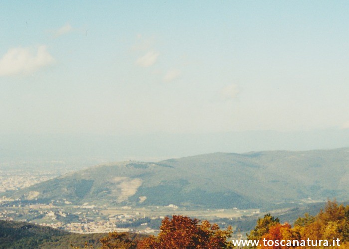 I monti della Calvana