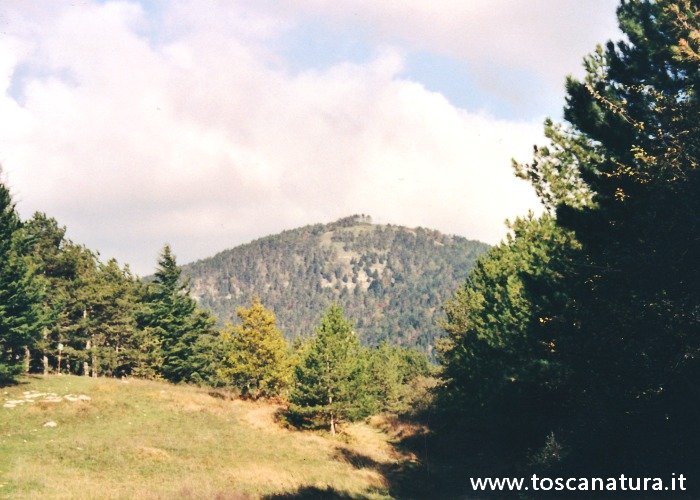 Veduta di Monte Morello