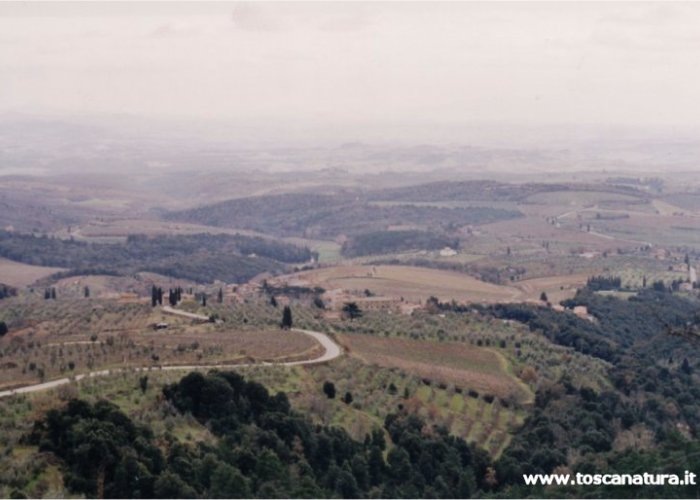 Panorama dal crinale