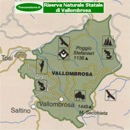 Riserva Naturale Statale di Vallombrosa