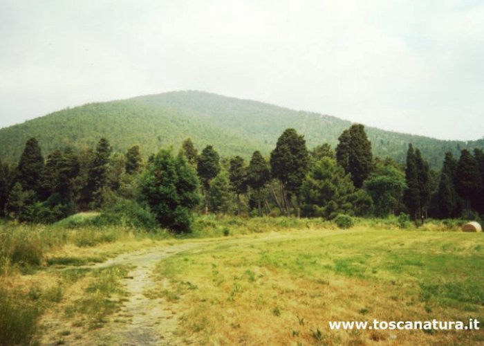 Veduta dell’ANPIL del Monteferrato