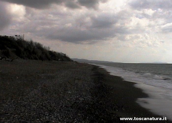 La spiaggia e le dune della Riserva Naturale