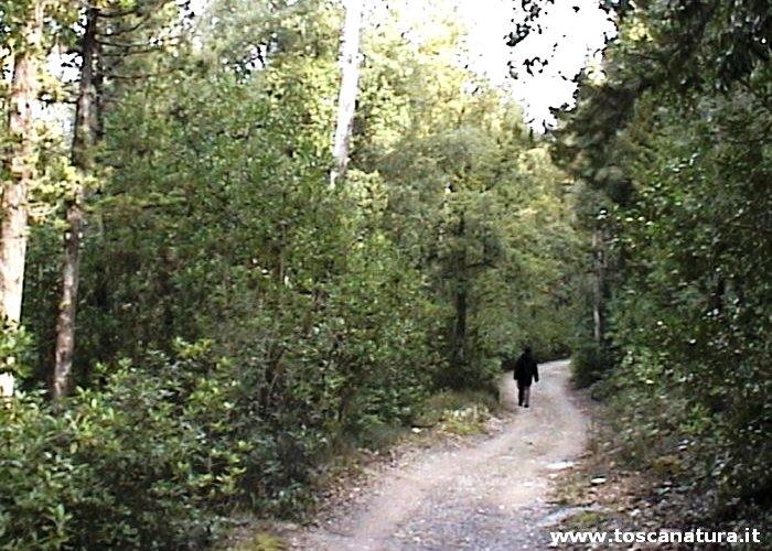 La Riserva Naturale di Santa Agnese