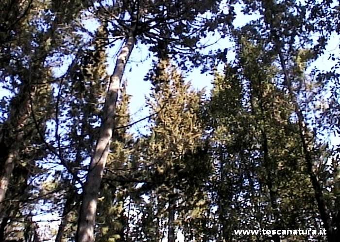 La Riserva Naturale di Santa Agnese
